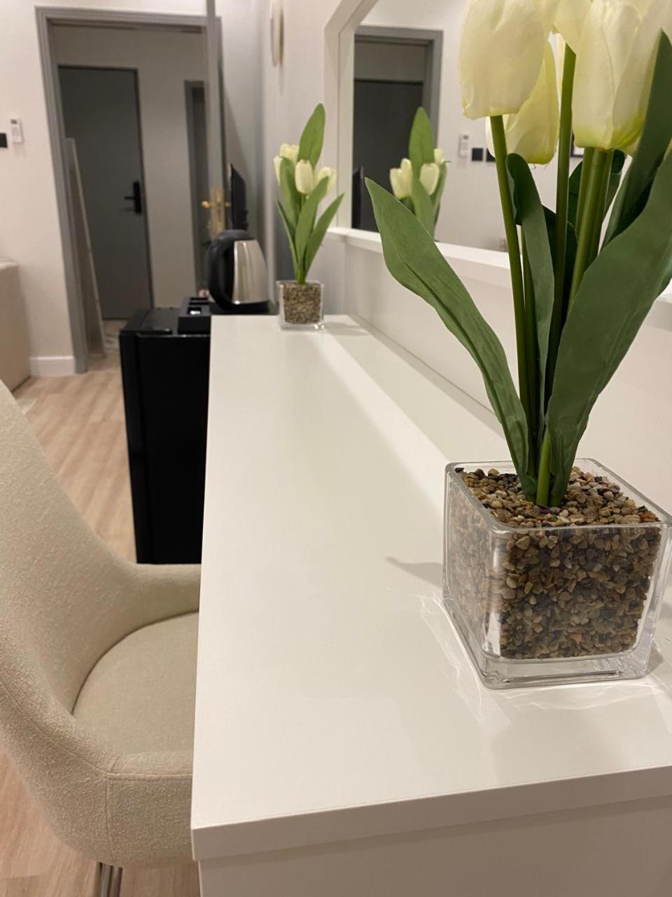 Luxury Apartment